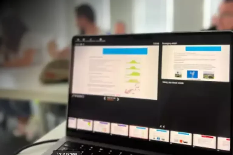 Ekran laptopa